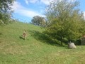 DSC 0323 DSC 0323