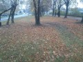 DSC 0543 DSC 0543